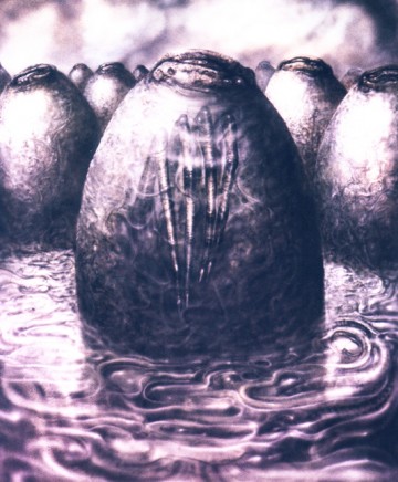 medium_printlitho01big.jpg
