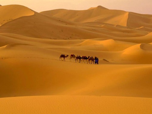 sahara.jpg