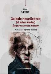 Galaxie Houellebecq.jpeg