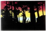artwork_images_164001_304192_peter-doig_1216044211.jpg